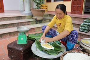 Hiệu quả tổ phụ nữ liên kết phát triển kinh tế ở Lâm Thao
