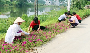 Hiệu quả cuộc vận động “5 không 3 sạch” ở thị xã Phú Thọ